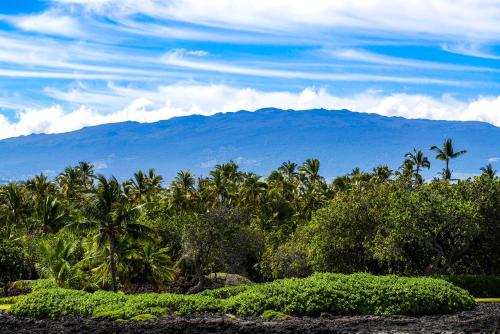 Mauna Lani Terrace D203