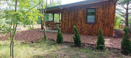 Hotelli välisilme, Zielenina Leśny Domek (Zielenina Lesny Domek) in Skarszewy