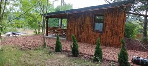 Hotelli välisilme, Zielenina Leśny Domek (Zielenina Lesny Domek) in Skarszewy