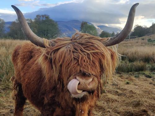 Springburn Farmhouse – Spean Bridge