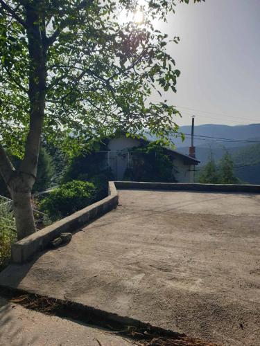 Vila Fantastico, Skopje (fotografie 10)