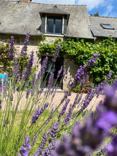 L'Hôtié de Brocéliande à Paimpont, au coeur des sites naturels et légendaires - Chambre d'hôtes - Paimpont