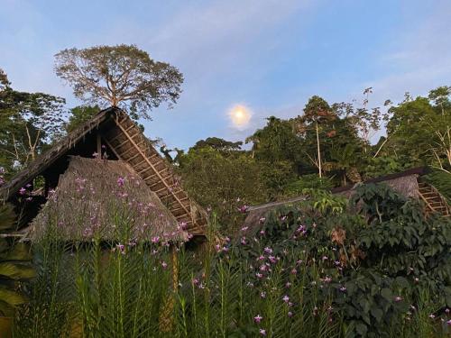 Yarina Eco Lodge