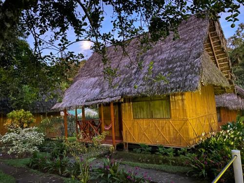 外部景觀, 亞里納環保山林小屋 (Yarina Eco Lodge) in 亞蘇尼 (奧雷亞納)
