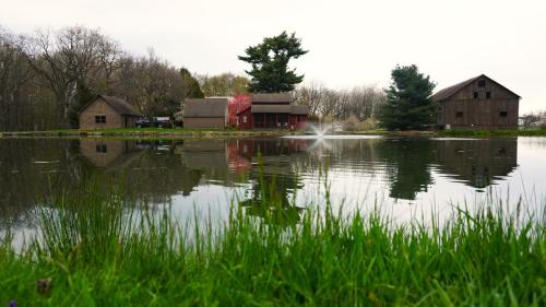 Whimsical Cottage w/ Pond View