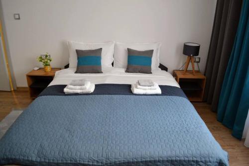 Modern City Center 2 Bedroom Apartment, Sofia