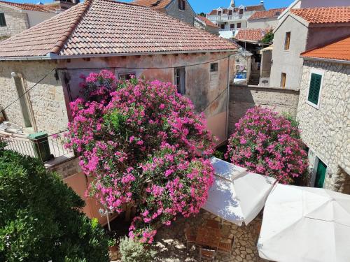 Guest House Adria - image 5