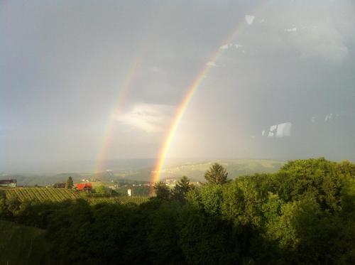 Wohlmuth-Lückl Wohlmuth-Lückl