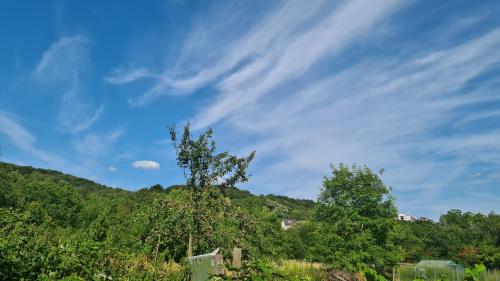 Omgivelser, Zum Stuxblick in Unkel