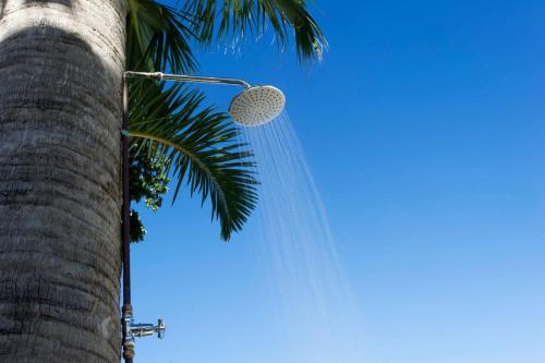 Dunn Dreamin Barbados