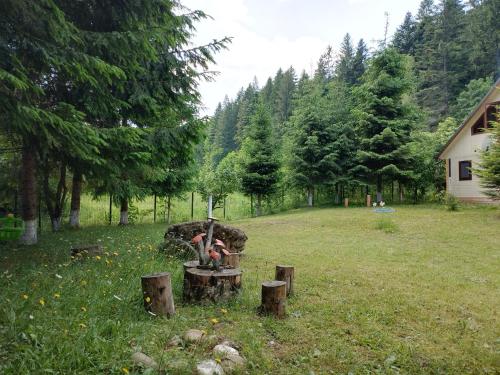 Cabana La Bunici in Schitu Tarcău