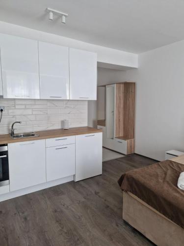 Kamche apartment, Skopje (photo 10)