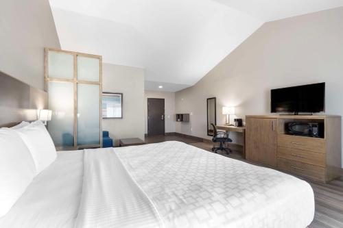 Best Western Plus Downtown North