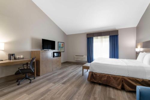 Best Western Plus Downtown North - image 12