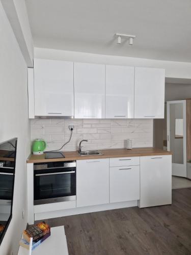 Kamche apartment, Skopje (foto 5)