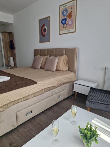 Kamche apartment, Skopje (foto 7)
