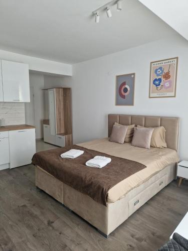 Kamche apartment, Skopje (foto 9)