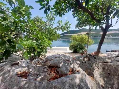 Apartments by the sea Zuronja, Peljesac - 13202