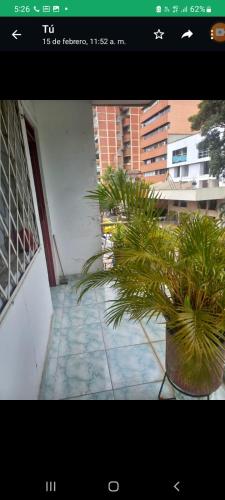 Apartamento en avenida sexta de Cali