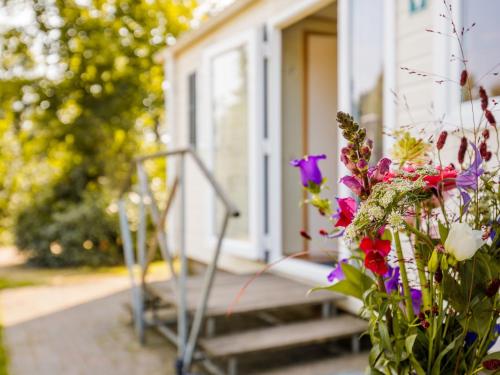 Nice chalet in a holiday park with swimming pool, on the Leukermeer