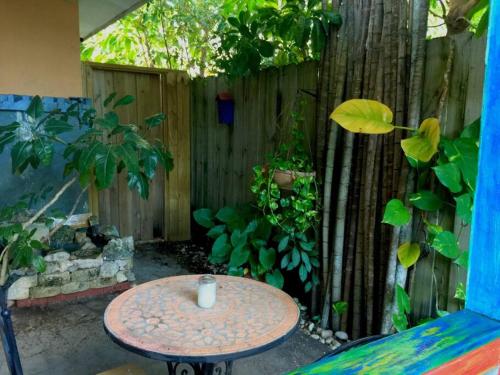 Miami Bungalow Oasis near Everglades & The Keys in Cutler Bay, USA