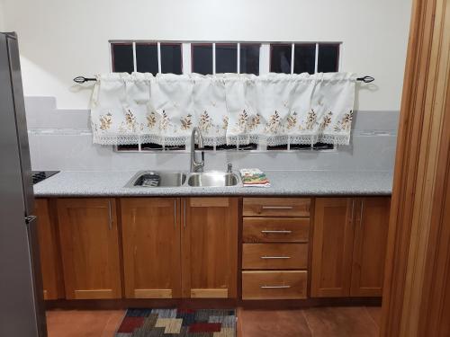 Kitchen, Francis Nook Bourg Mulatresse Room in Port Of Spain