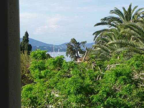 Superior Double Room with Pool View 3 - 33 sqm image 8