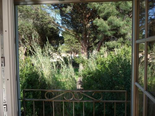 Superior Double Room with Pool View 3 - 33 sqm image 2