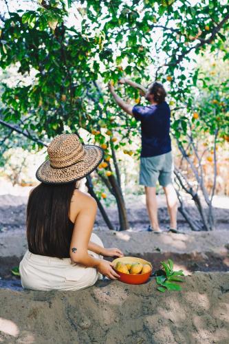 Cabañas Tambo Vitayle