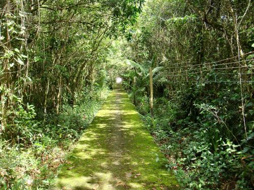 Casa Enorme para 12 pessoas, 4 suites e um fundo com 18mil metros de mata e um pier no rio que sai para o mar-Internet 100MB