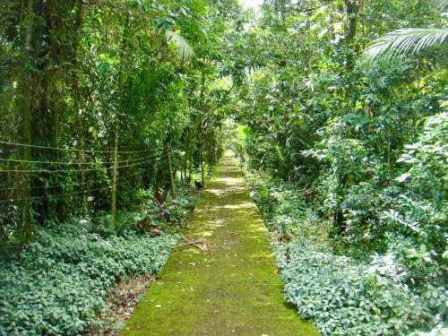 Casa Enorme para 12 pessoas, 4 suites e um fundo com 18mil metros de mata e um pier no rio que sai para o mar-Internet 100MB