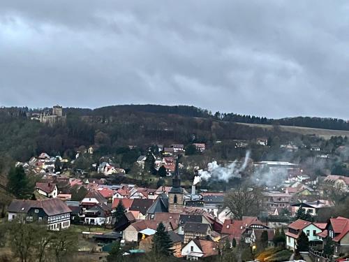 Delux Ferienwohnung Kunstgalerie und Ilmradweg