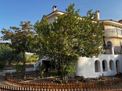 Villa Sophie in Chalkoutsi (Attiki)