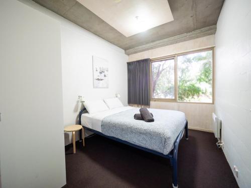 YHA Apollo Bay Eco Room Type - Queen Room with Shared Bathroom