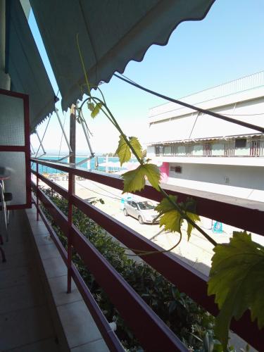  Diamanto Rooms in Eretria