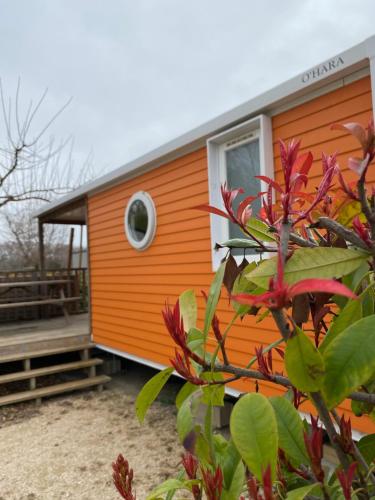 Mobile Home Comfort (6 persons) image 9