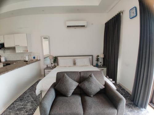 One-Bedroom Apartment image 2