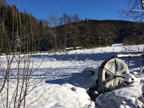 Nurdachhaus Sauerland