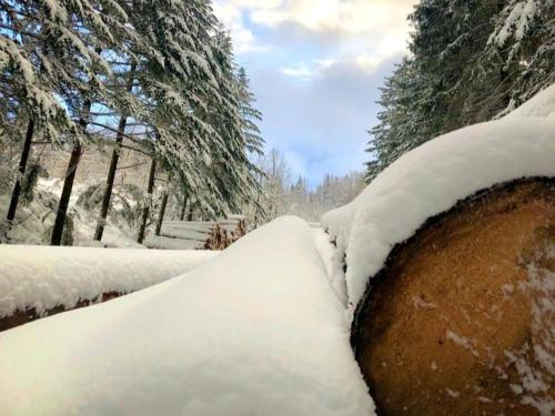 Nurdachhaus Sauerland