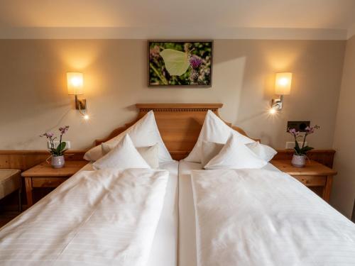 Alpen Glück Hotel Villa Lisa garni – Kirchberg, MO