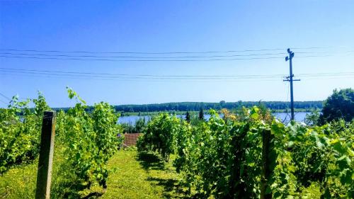 Apartman u potkrovlju Apartman u potkrovlju
