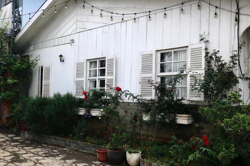 Maily homestay in Tram Hanh