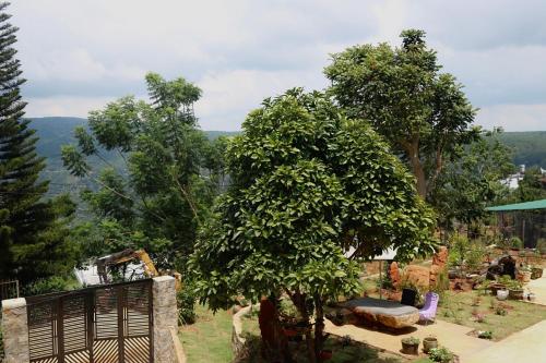 Maily homestay in Tram Hanh