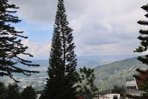 Maily homestay in Tram Hanh