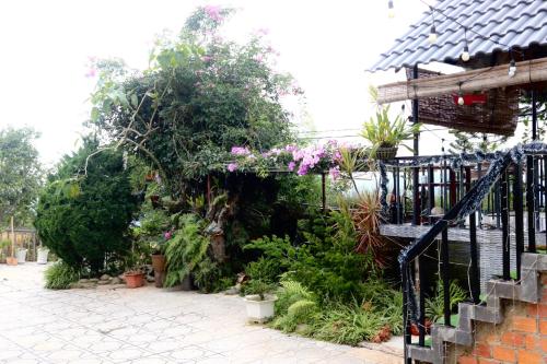 Maily homestay in Tram Hanh