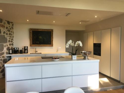 Kitchen, Beau chateau dans le Cantal au coeur du Pays Vert in Jussac