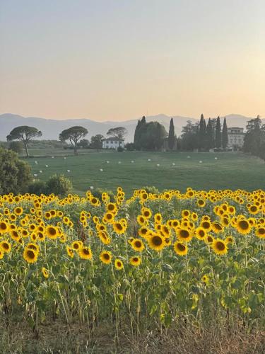 Casa le Rondini Toscana - Accommodation - Bucine