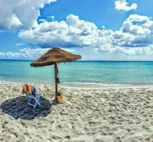 Beautiful and comfy house on the beach of Haouaria