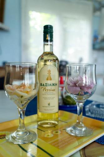 Villa Vasiliki in Paralia Skotinas