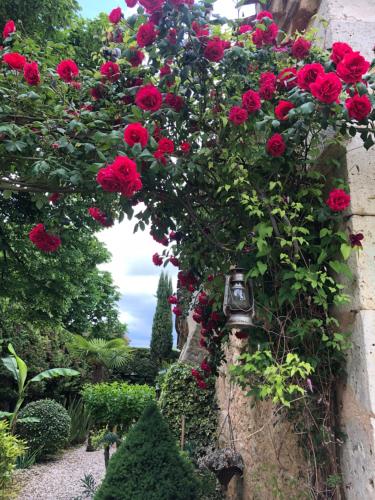 Gascony Guest House - Pension de famille - Castéra-Verduzan